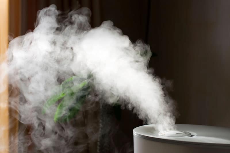 in-home air quality